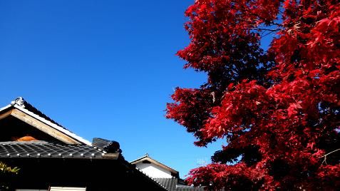 イメージ 41