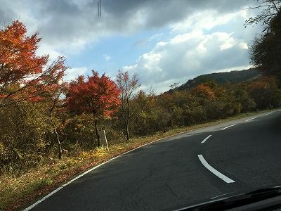 イメージ 51