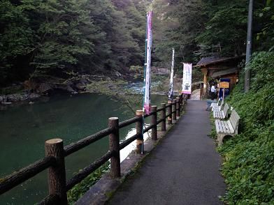 イメージ 7