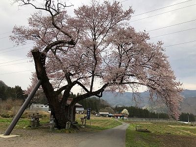 イメージ 46