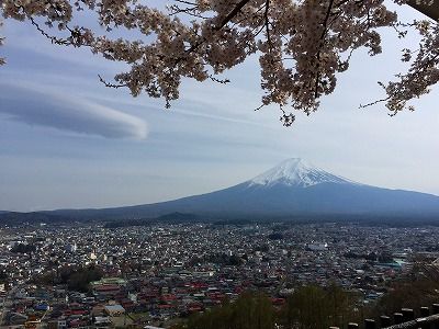 イメージ 21