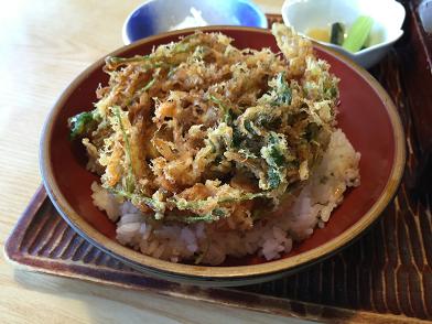 イメージ 9