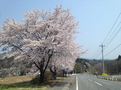 イメージ 17