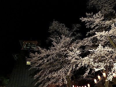 イメージ 68