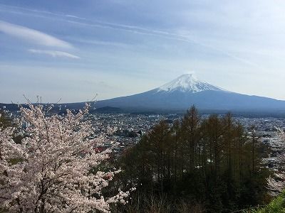 イメージ 10
