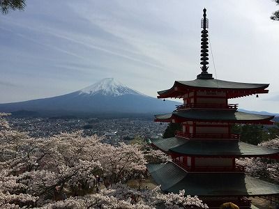 イメージ 15