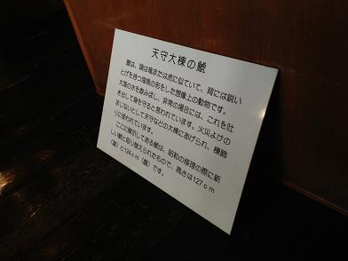 イメージ 51