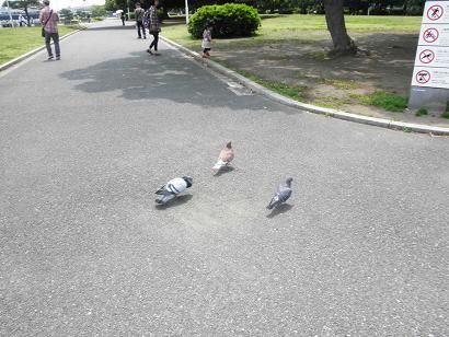 イメージ 18