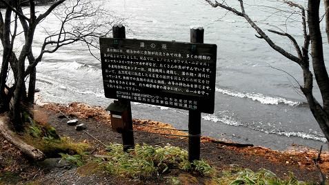 イメージ 31