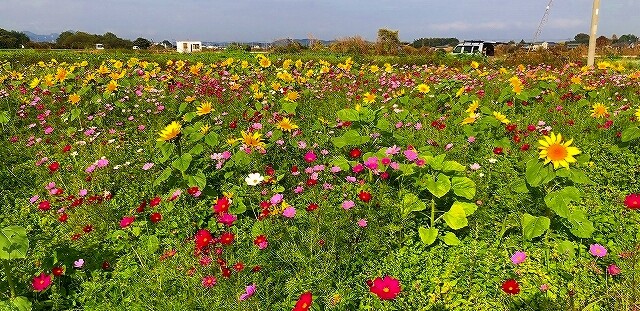 IMG_9350