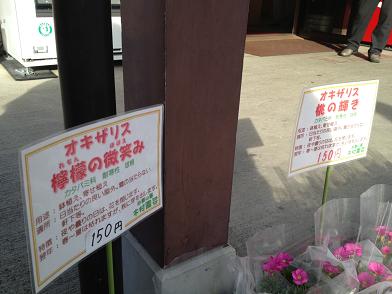 イメージ 21