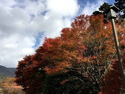イメージ 7