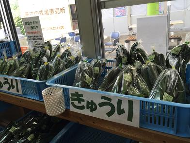 イメージ 44