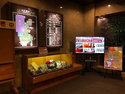 イメージ 7