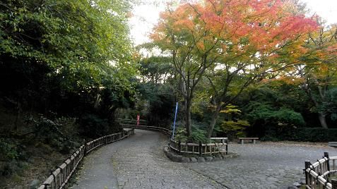 イメージ 15