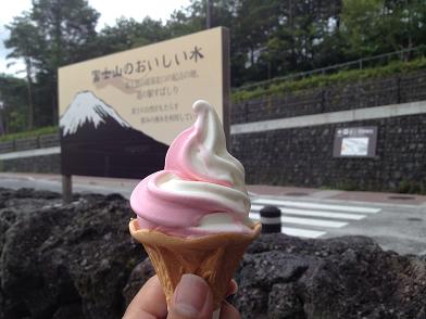 イメージ 7