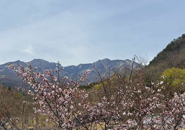 IMG_4194