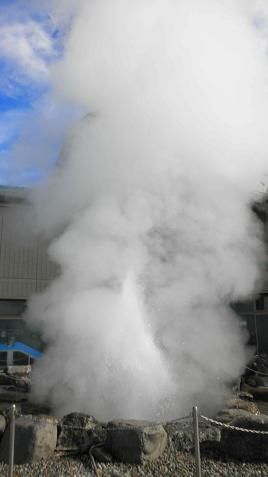 イメージ 17
