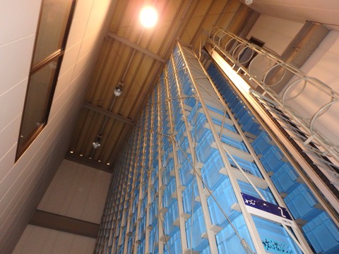 P3090149b