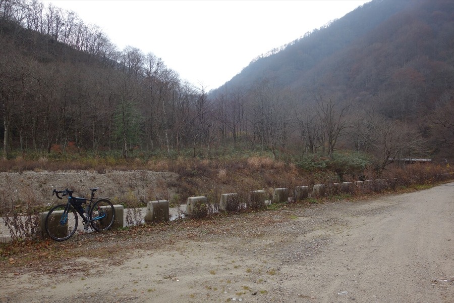 DSC01529_R
