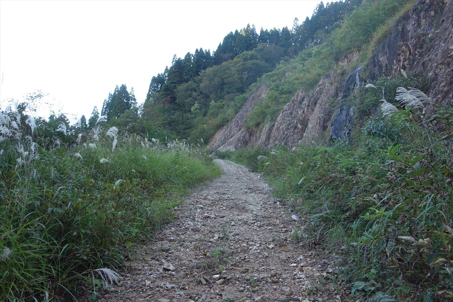 DSC01424_R
