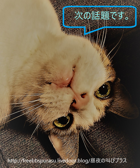 タイトルなし (3)