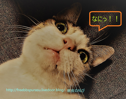 タイトルなし4 (2)