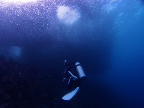P9261711 (640x480)