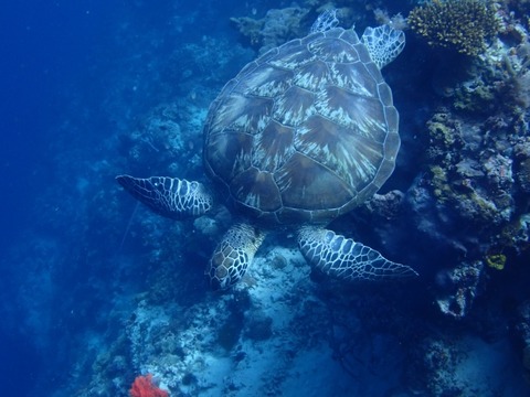 P5010081