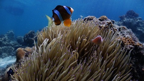 P2250103 (640x360)