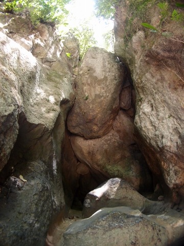 P3200345 (480x640)
