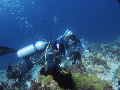 P9230037 (640x480)
