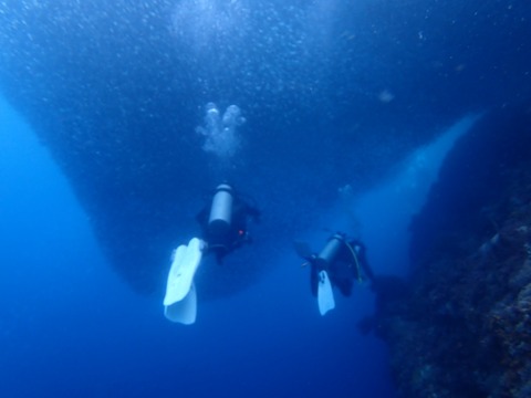 P7120053