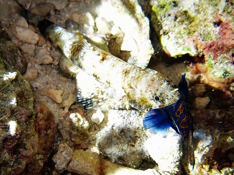 P2030640 (640x479)
