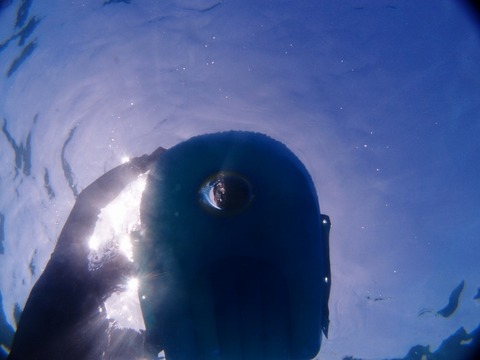 P1015142 (640x480)