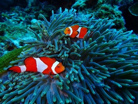 PB290158 (640x480)