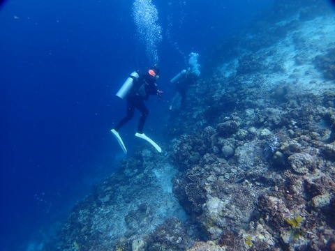 P5250001