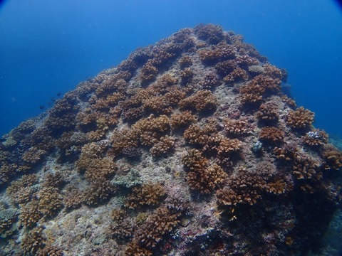 P7250041