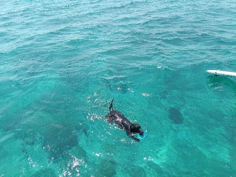 IMG20260830124029