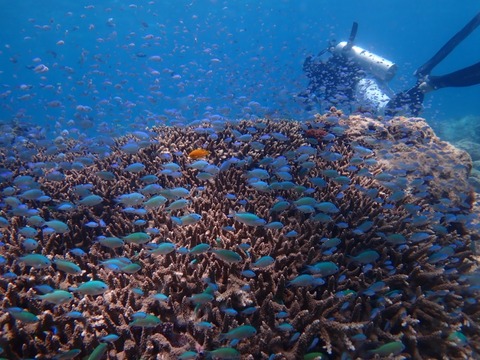 P5040023