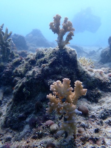 P5200243