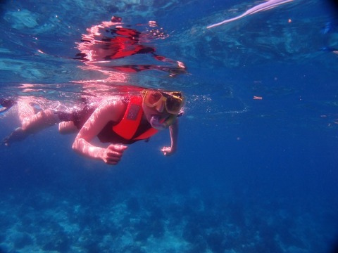 P5261380 (640x480)