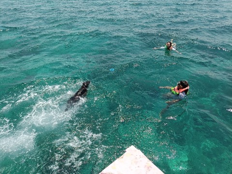 IMG20260830123748