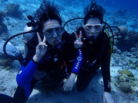 P5040525 (640x480)