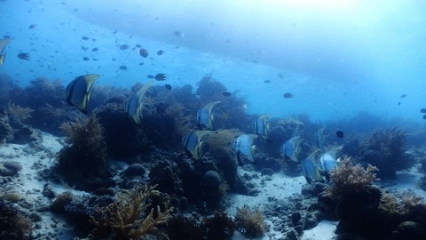P2080153 (640x360)