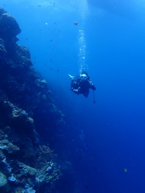 P6130034