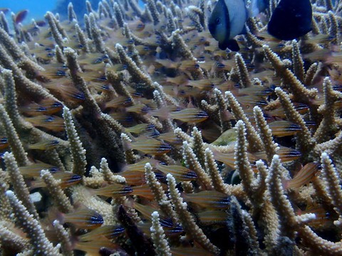 P7280022