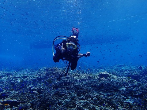 PA030008 (640x480)