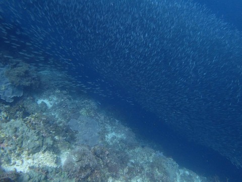 Messenger_creation_70039A7F-8950-438C-A200-39A569E7BDF4