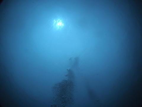 P9140114
